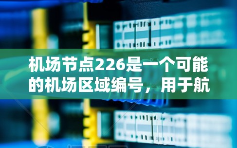 机场节点226是一个可能的机场区域编号，用于航班分配、区域管理或航空活动的地点。以下是对该概念的详细解释