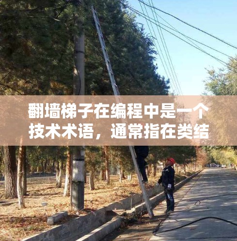 翻墙梯子在编程中是一个技术术语，通常指在类结构中使用某种方法，将某些对象或变量作为梯子，帮助开发者更好地理解或实现特定功能。以下是对翻墙梯子的推荐，涵盖不同的应用场景和资源