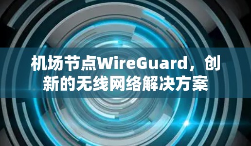 <strong>机场节点</strong>WireGuard，创新的无线网络解决方案