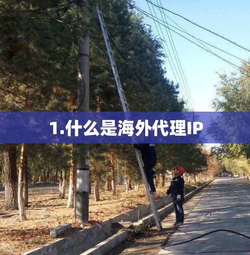 1.什么是海外代理IP