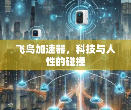 飞鸟加速器，科技与人性的碰撞
