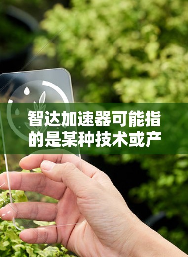 智达加速器可能指的是某种技术或产品，具体含义取决于上下文。以下是一些可能的解释
