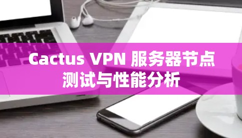 Cactus VPN 服务器节点测试与性能分析