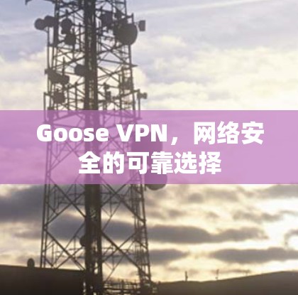 Goose VPN，网络安全的可靠选择
