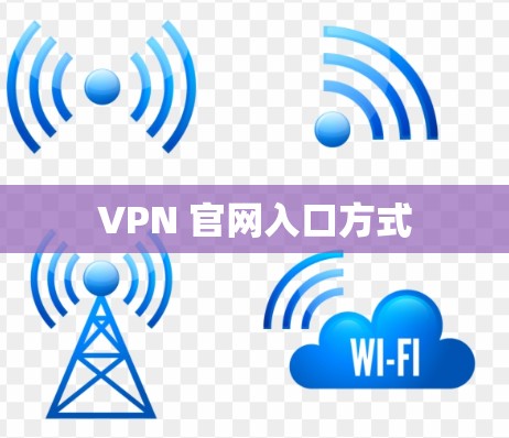 VPN 官网入口方式