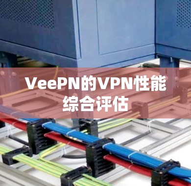 VeePN的VPN性能综合评估