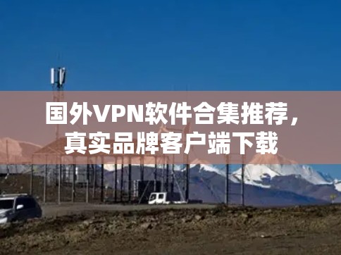 国外VPN软件合集推荐，真实品牌客户端下载