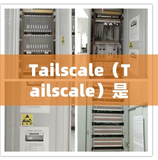 Tailscale（Tailscale）是基于容器的网络工具，适合分布式架构的设备管理。以下是一些关于 Tailscale Windows 版本的设备组网配置方法，帮助您轻松配置设备间的网络连接
