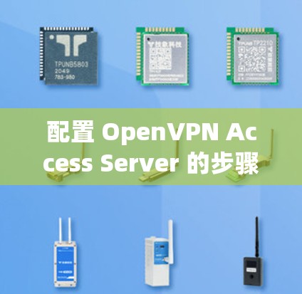 配置 OpenVPN Access Server 的步骤如下