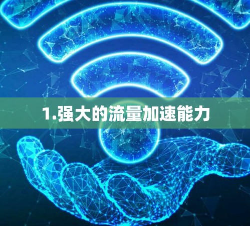 1.强大的流量加速能力
