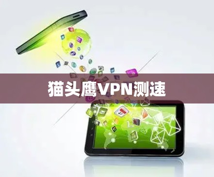 猫头鹰VPN测速