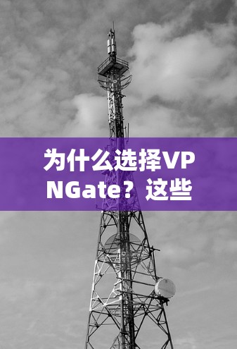 为什么选择VPNGate？这些关键点你必须了解！