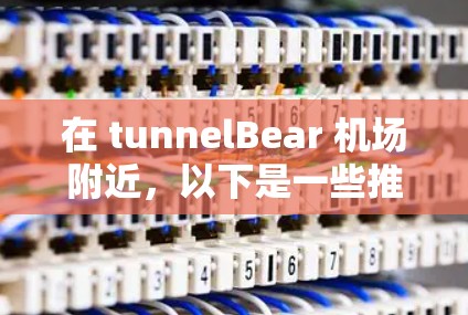 在 tunnelBear 机场附近，以下是一些推荐的服务器类型和配置，帮助你更好地运行你的项目