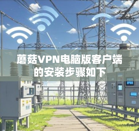 蘑菇VPN电脑版客户端的安装步骤如下