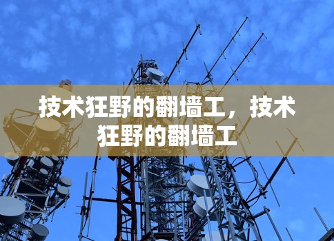 技术狂野的翻墙工，技术狂野的翻墙工