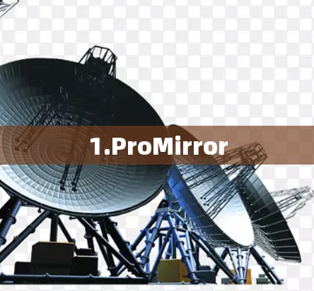 1.ProMirror 1.ProMirror