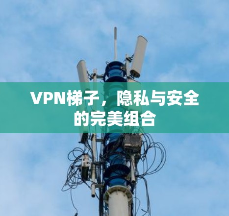 VPN梯子,隐私与安全的完美组合 VPN梯子,隐私与安全的完美组合