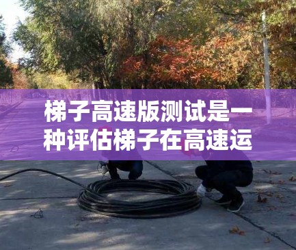 梯子高速版测试是一种评估梯子在高速运动中的性能测试方法，旨在测量梯子在各种条件下的稳定性、强度和承受能力。以下是对该测试的详细分析