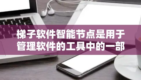 梯子软件智能节点是用于管理软件的工具中的一部分，具备以下特点